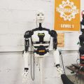 InMoov robot torso